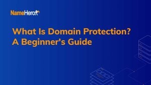 What Is Domain Protection? A Beginner's Guide