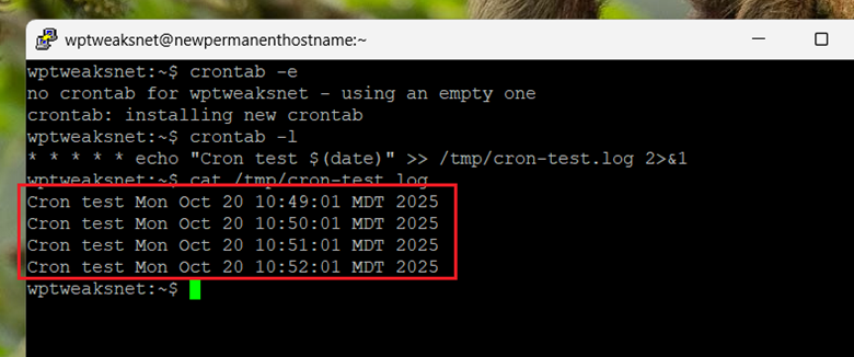 Cron Job Running