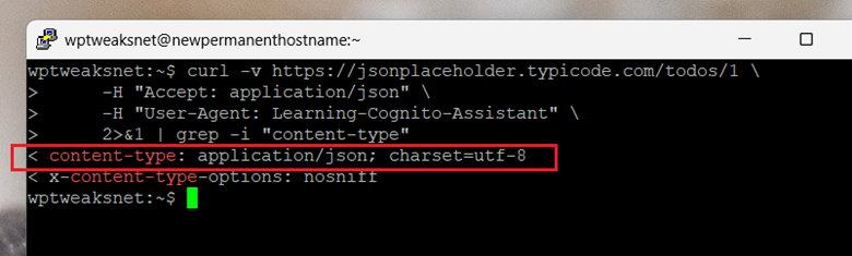 Content-Type JSON