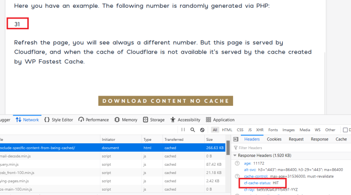 How To Exclude Parts Of A Page From Caching In WordPress - NameHero® Blog